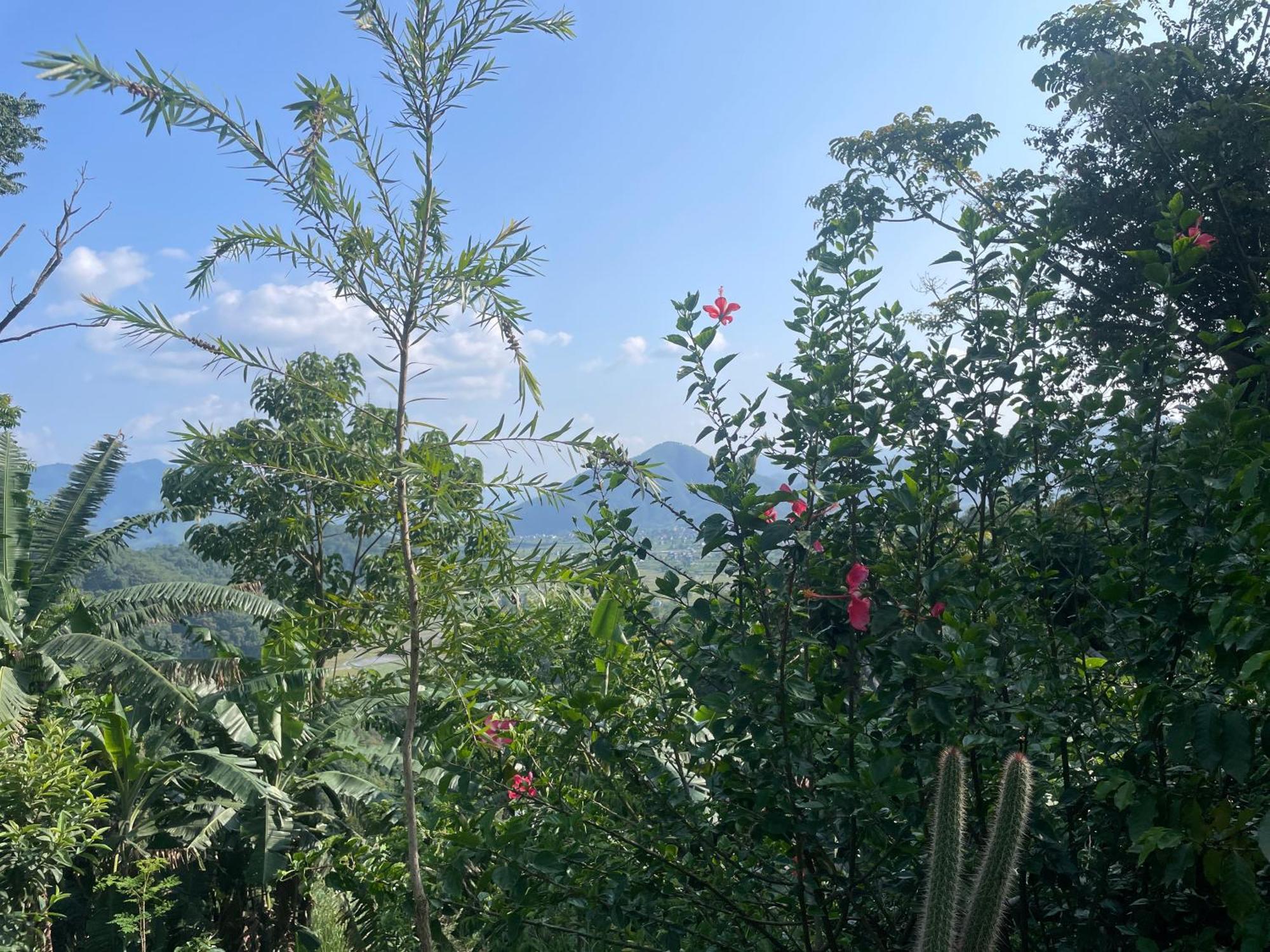 Himalaya Serene View Guest House & Farm Stay Deorali Exterior photo