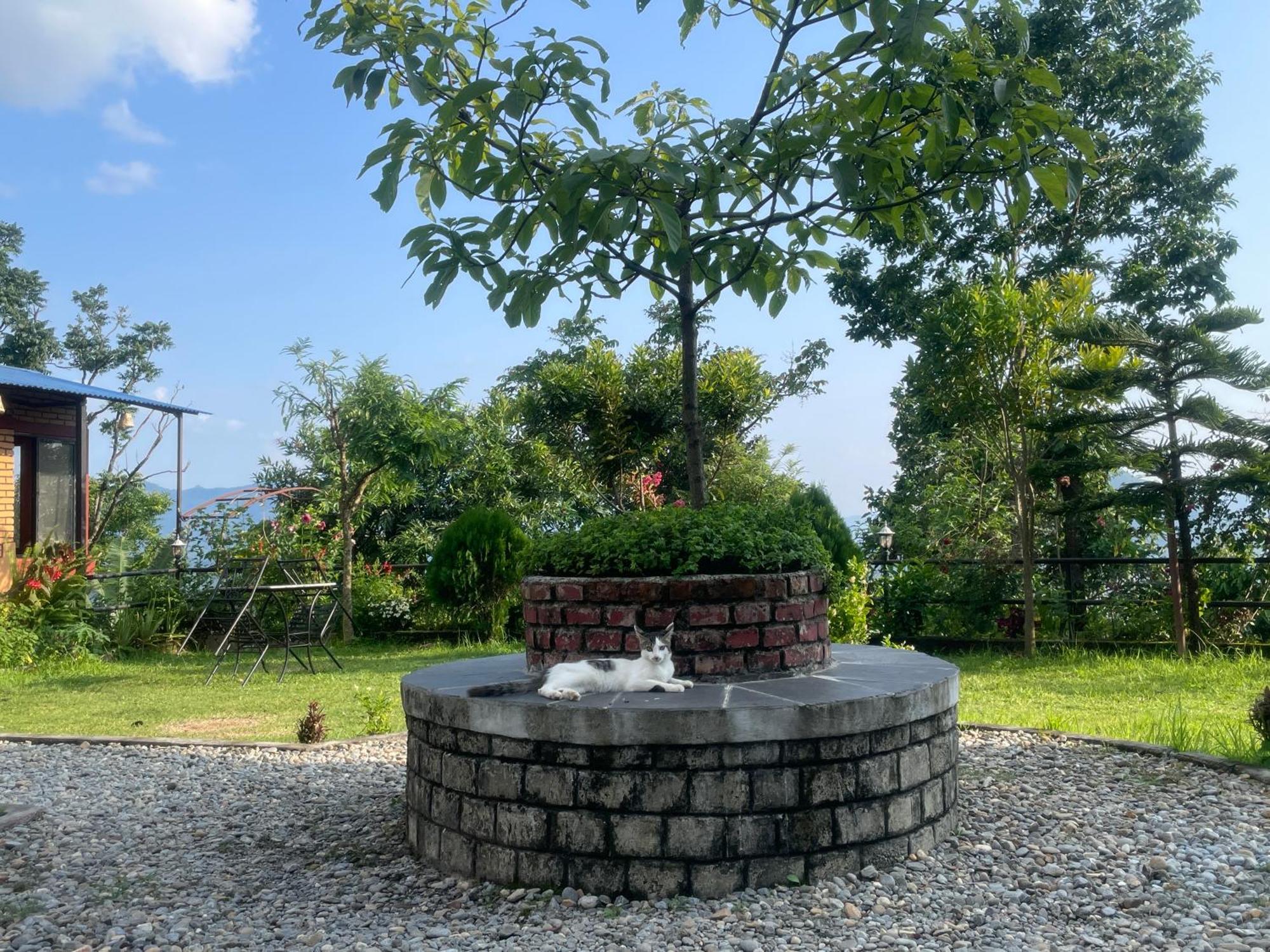 Himalaya Serene View Guest House & Farm Stay Deorali Exterior photo